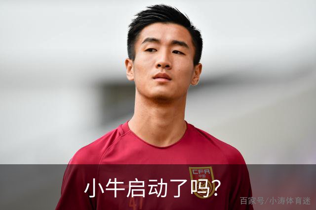 小牛启动了吗？